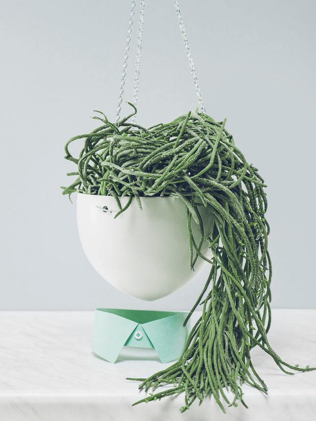  Spring Haircut Photography by Marion Luttenberger (MediumLarge Studio)