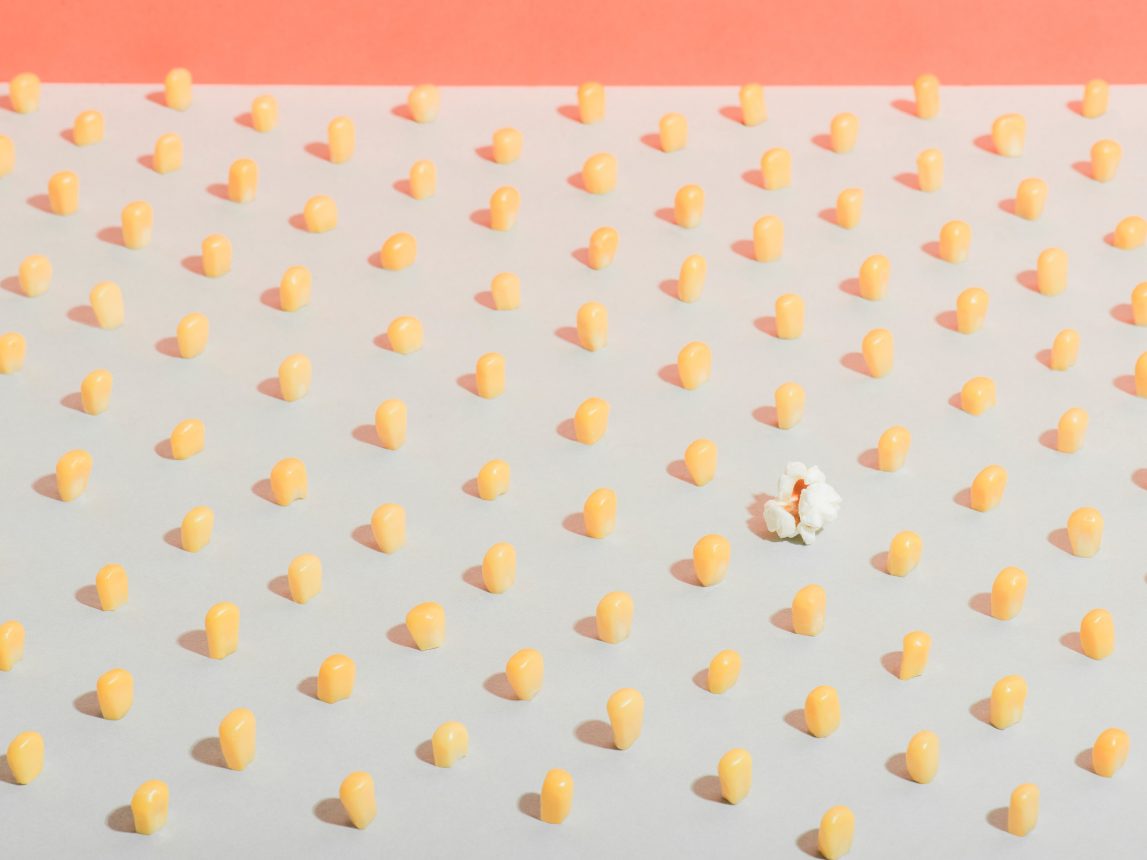  Sweet Tooth Photography by Marion Luttenberger (MediumLarge Studio)